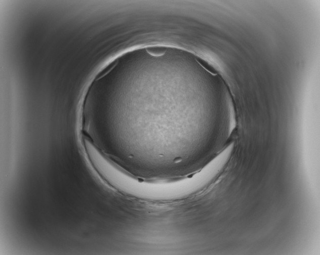 X0000088371528200706051032