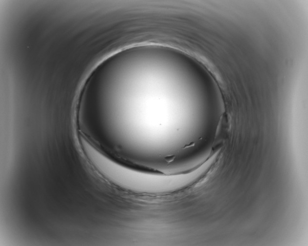 X0000088371530200706051032