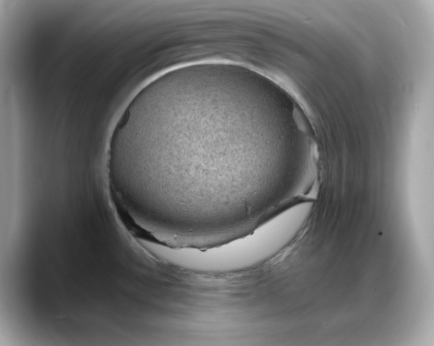 X0000088371532200706051032