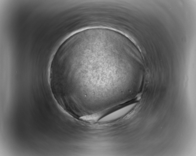 X0000088371535200706051032