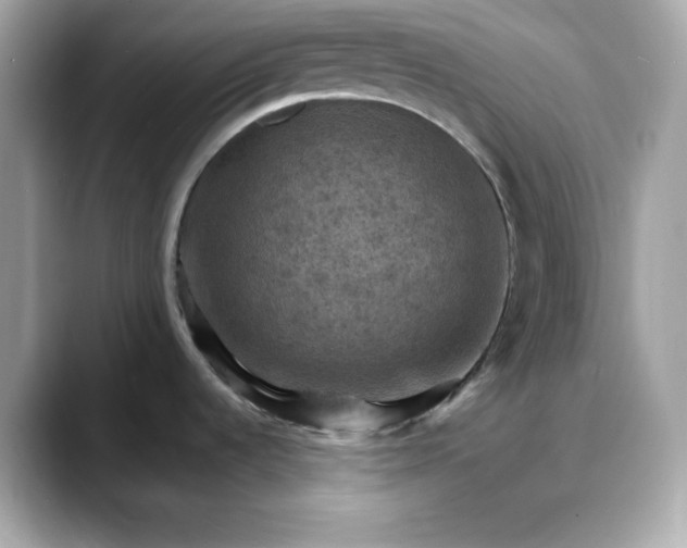 X0000088371536200706051032