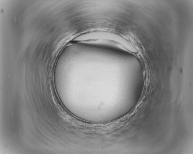 X0000088370001200706121132