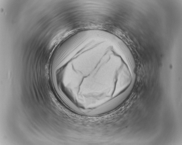 X0000088370002200706121132