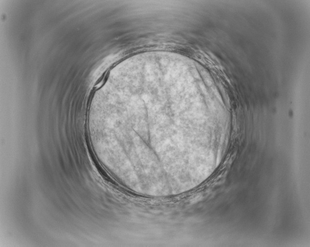 X0000088370003200706121132