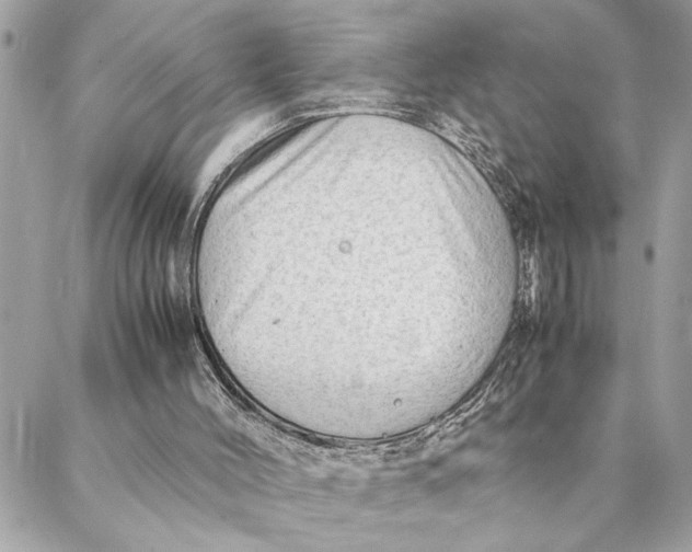 X0000088370004200706121132