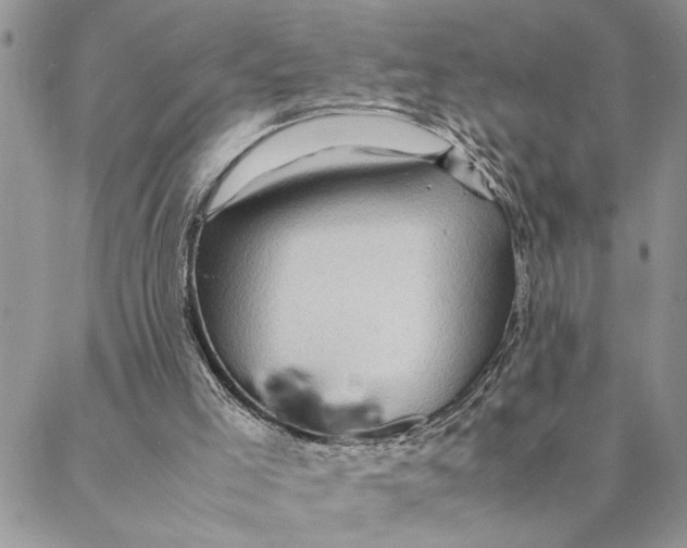 X0000088370005200706121131