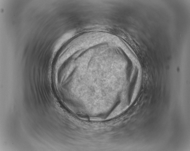 X0000088370006200706121131