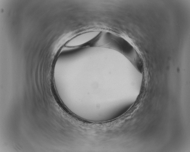 X0000088370007200706121131