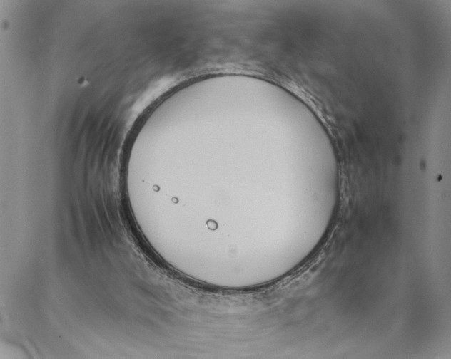 X0000088370008200706121131