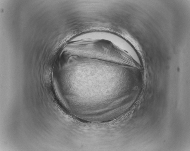 X0000088370009200706121131