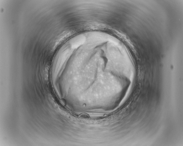 X0000088370010200706121131