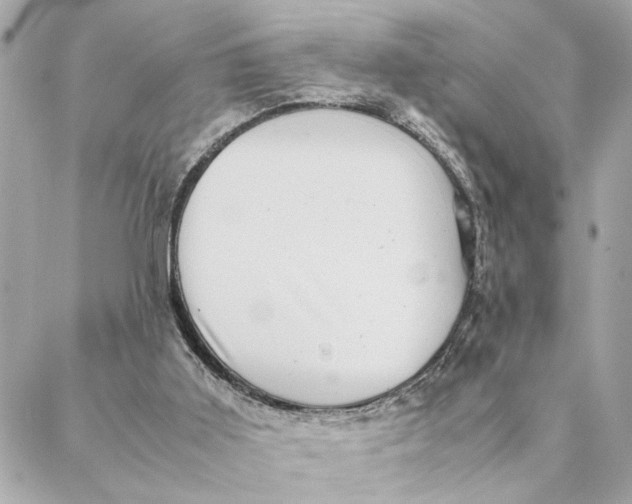 X0000088370011200706121131