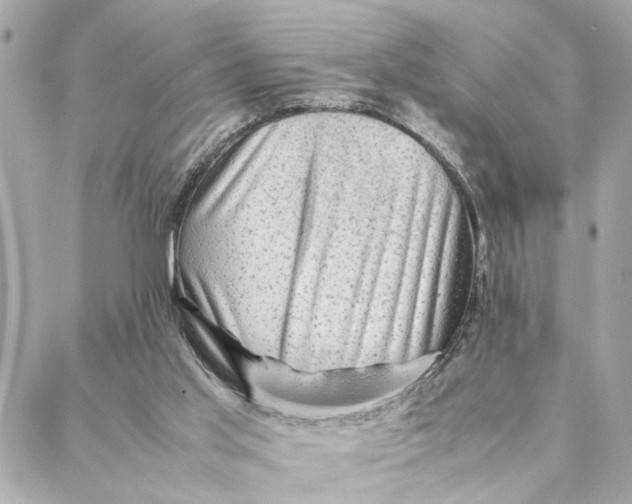 X0000088370013200706121131