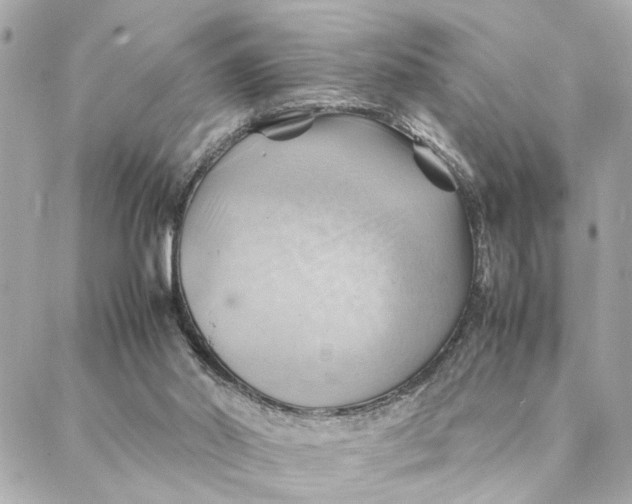 X0000088370014200706121131