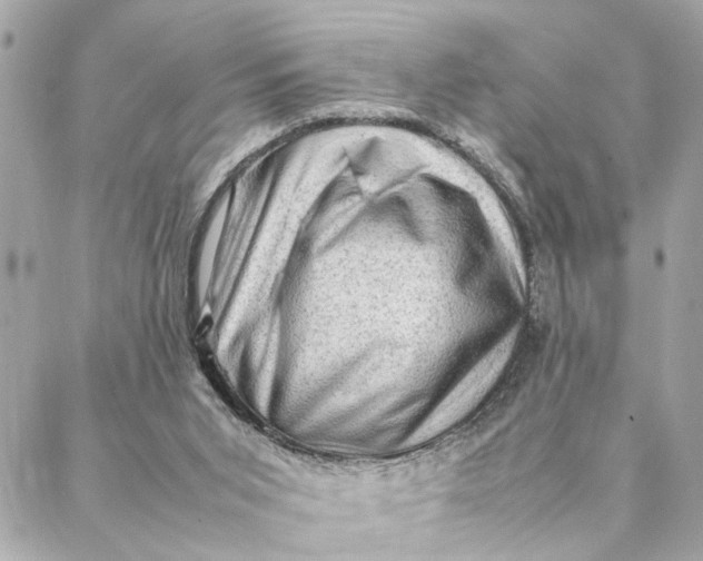 X0000088370015200706121131