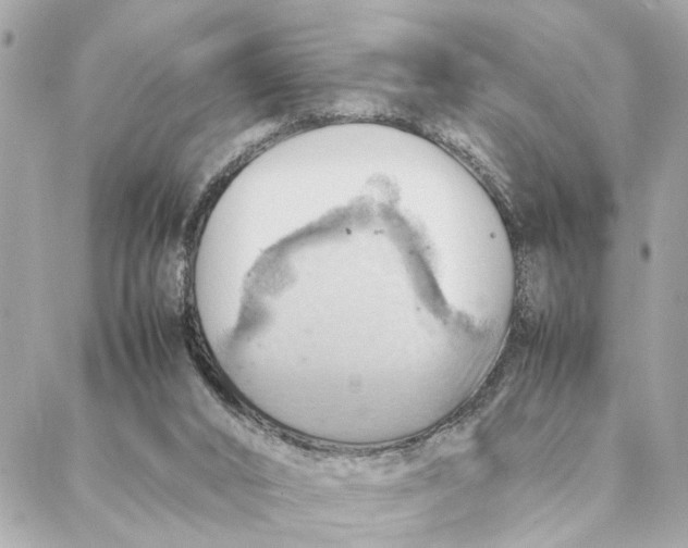 X0000088370016200706121131