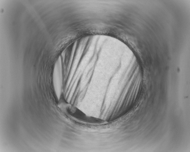 X0000088370017200706121131