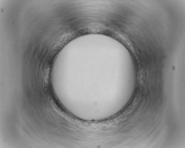 X0000088370018200706121131