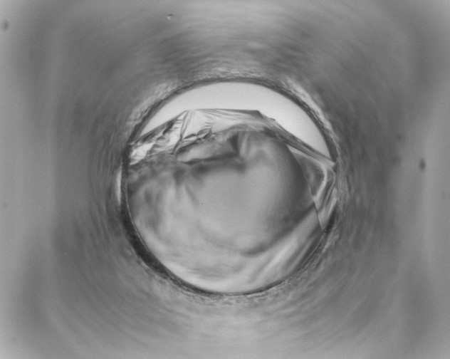 X0000088370019200706121131