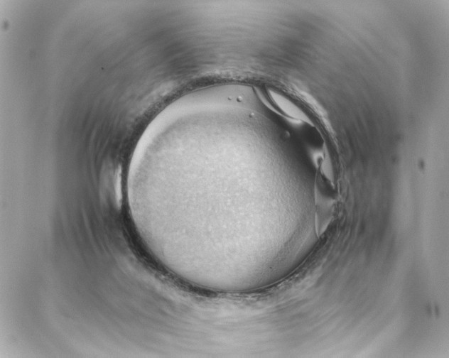 X0000088370020200706121131