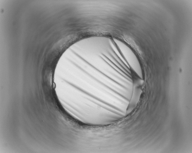 X0000088370021200706121131