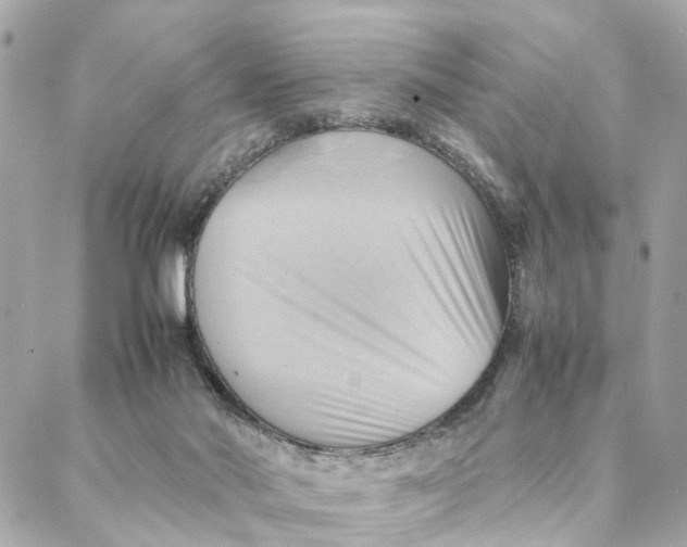 X0000088370022200706121131