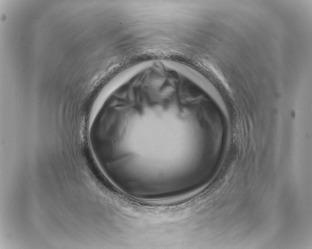 X0000088370023200706121131