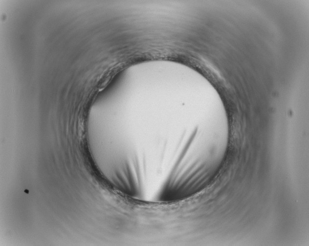 X0000088370025200706121131