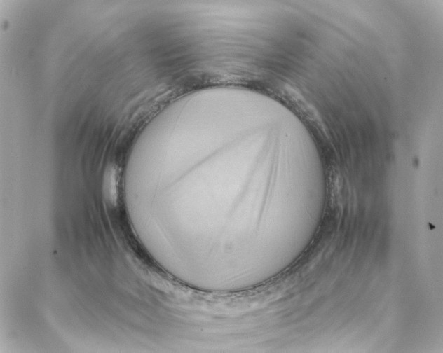 X0000088370026200706121131