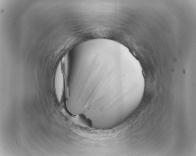 X0000088370027200706121131