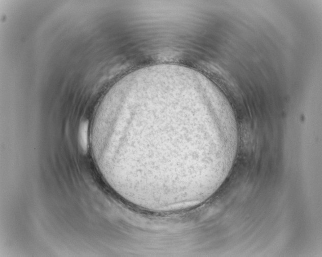 X0000088370028200706121131