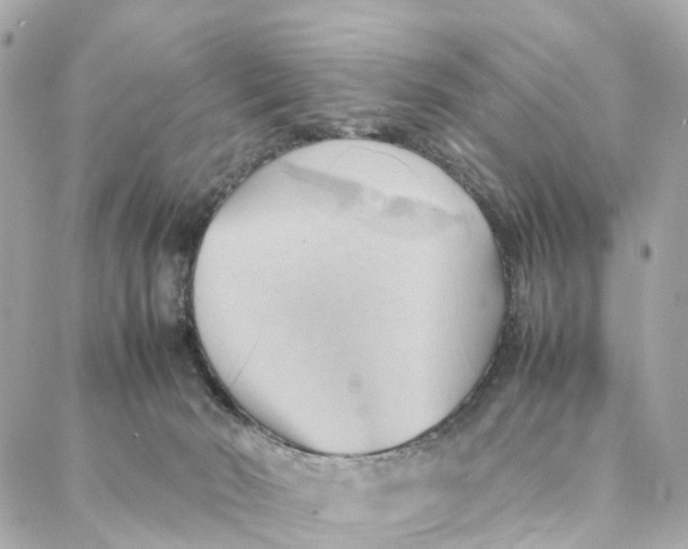 X0000088370030200706121131