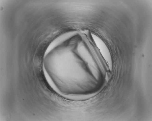 X0000088370031200706121131