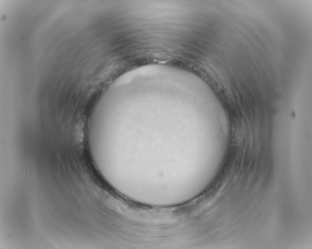 X0000088370032200706121131