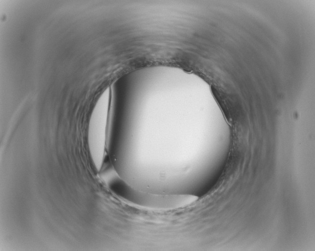 X0000088370033200706121131