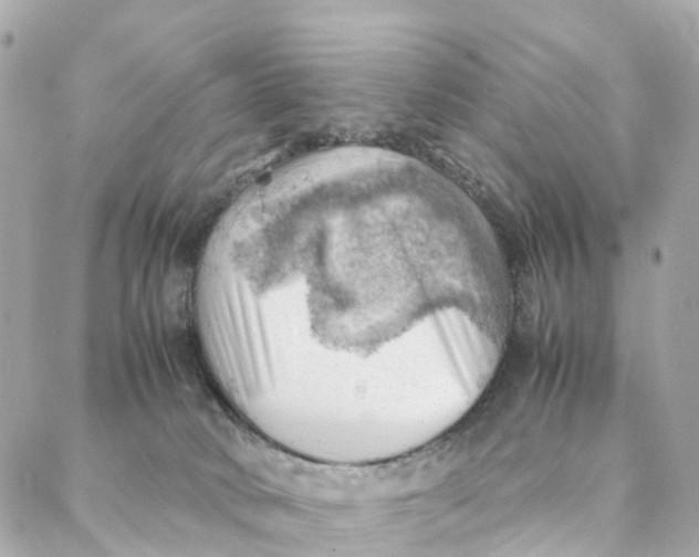 X0000088370034200706121131