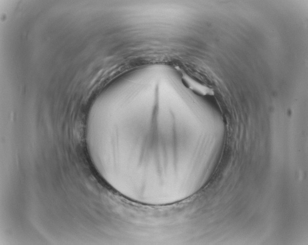 X0000088370035200706121131