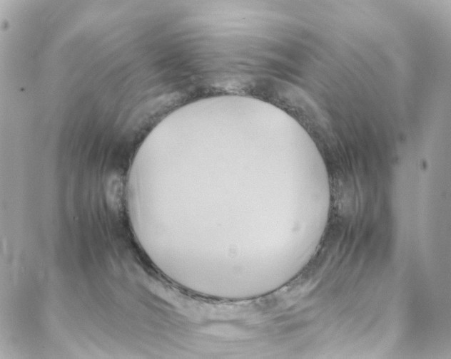 X0000088370036200706121131