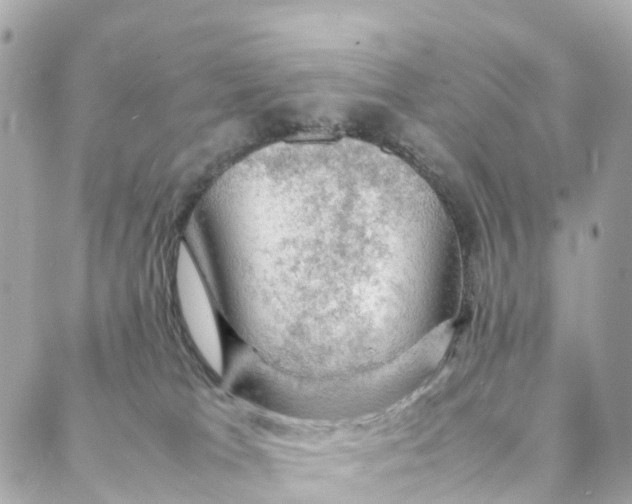 X0000088370037200706121131