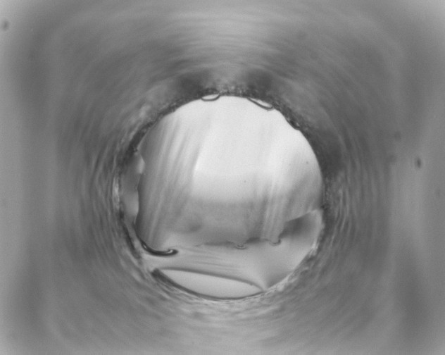 X0000088370039200706121131