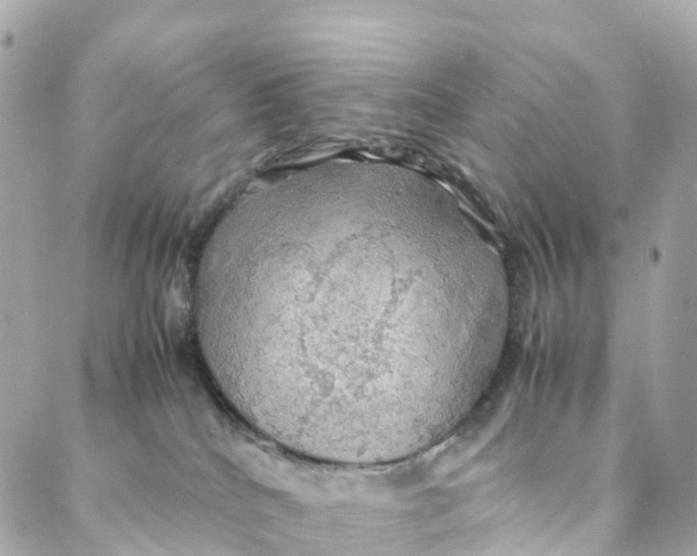 X0000088370040200706121131