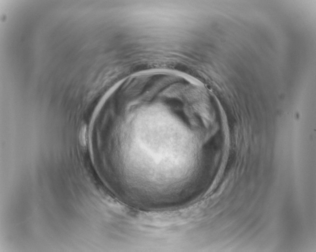 X0000088370041200706121131