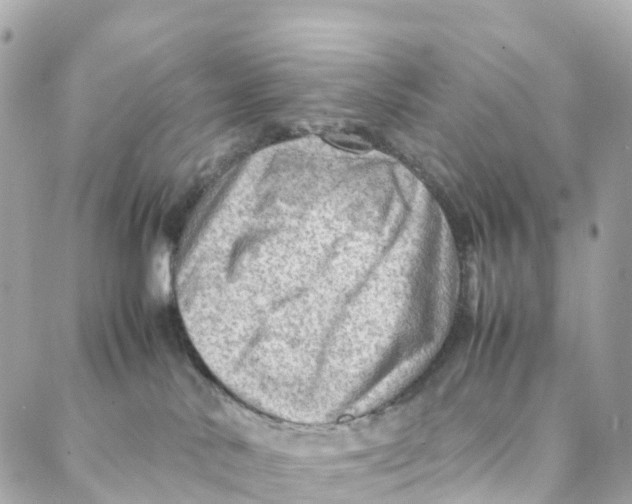 X0000088370042200706121131