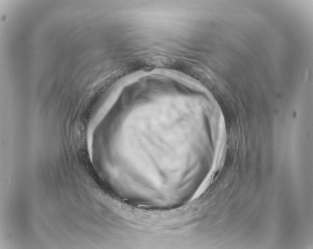 X0000088370043200706121131