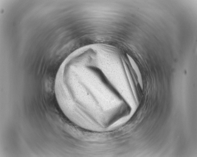 X0000088370044200706121131