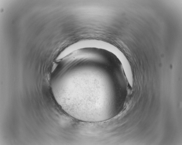 X0000088370045200706121131