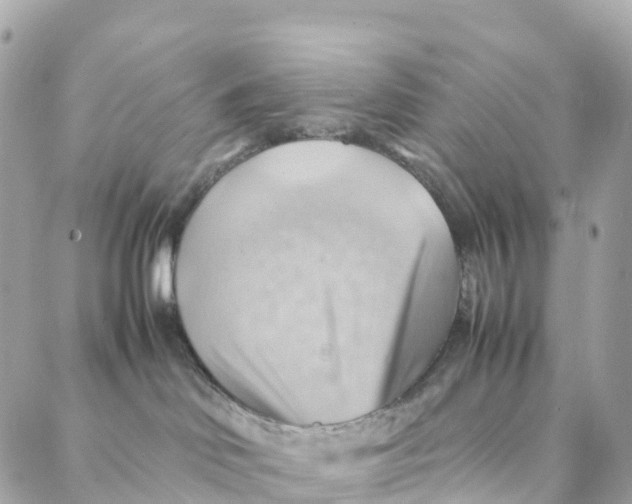 X0000088370046200706121131