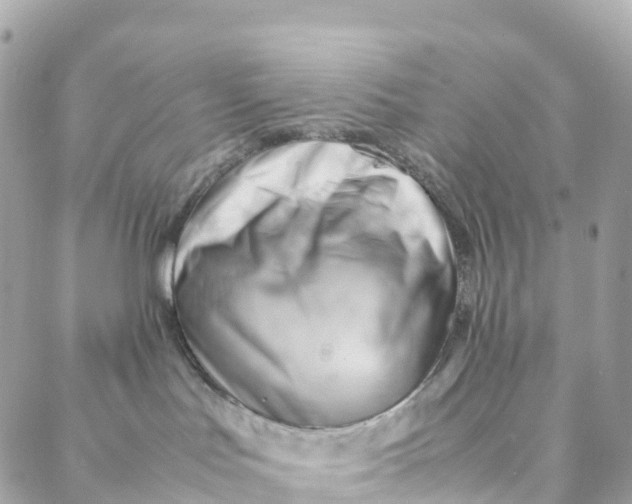 X0000088370047200706121131