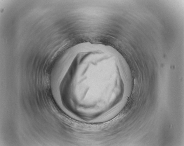 X0000088370048200706121131