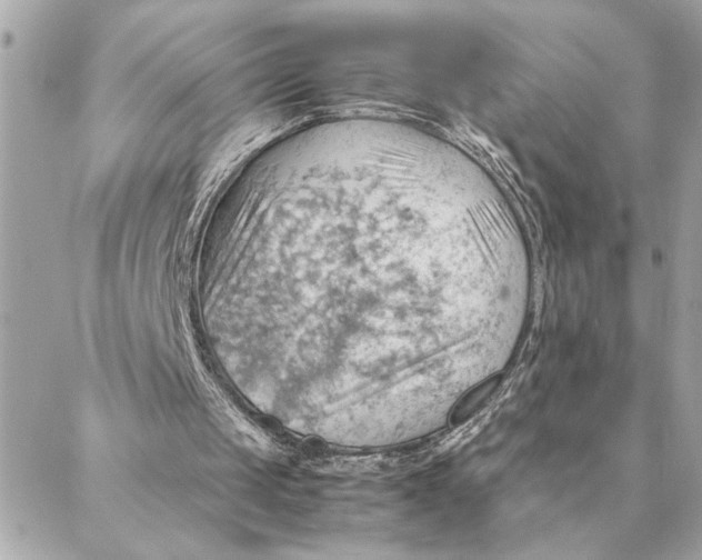 X0000088370049200706121130